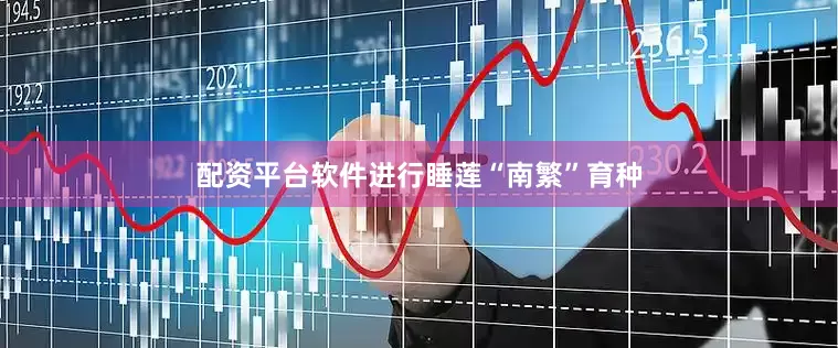 配资平台软件进行睡莲“南繁”育种