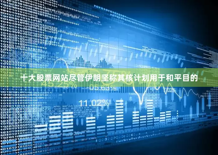 十大股票网站尽管伊朗坚称其核计划用于和平目的
