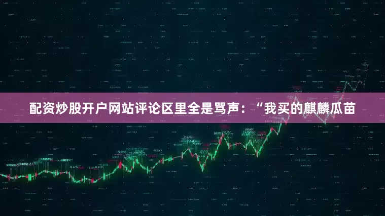 配资炒股开户网站评论区里全是骂声：“我买的麒麟瓜苗
