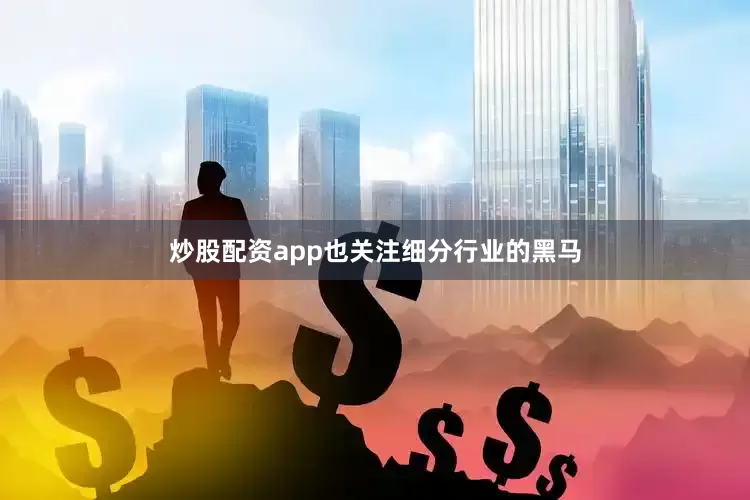 炒股配资app也关注细分行业的黑马